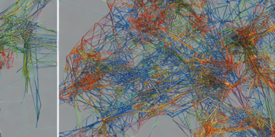 Enhancing Robustness via Structure Denoising and Embedding Perturbation: A Study on Neural Graph Collaborative Filtering