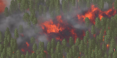 Improved Search Algorithm for Forest Fire Detection and Rescue