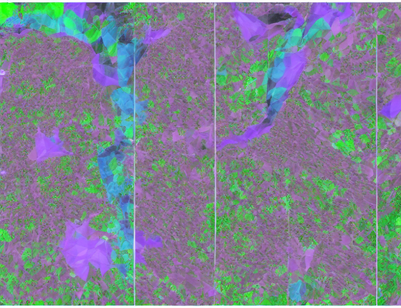 Exploring Deep Learning Models for Image Classification: A Comprehensive Review