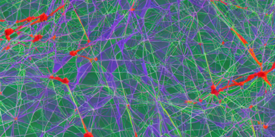 Neuromorphic Computing with Spiking Neural Networks: A Comparative Study