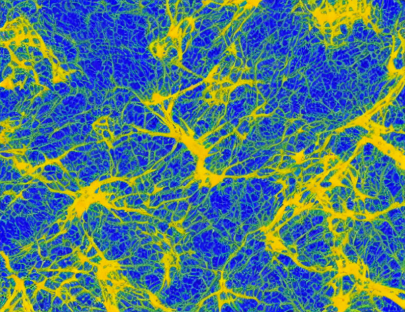 Image-Based Deep Learning Methods for Optical Coherence Tomography Dataset Analysis