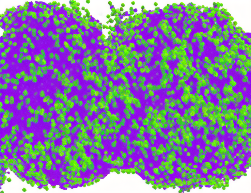 Unlocking Cellular Secrets: Clustering-Aware Contrastive Learning for Single-Cell RNA-Seq Data